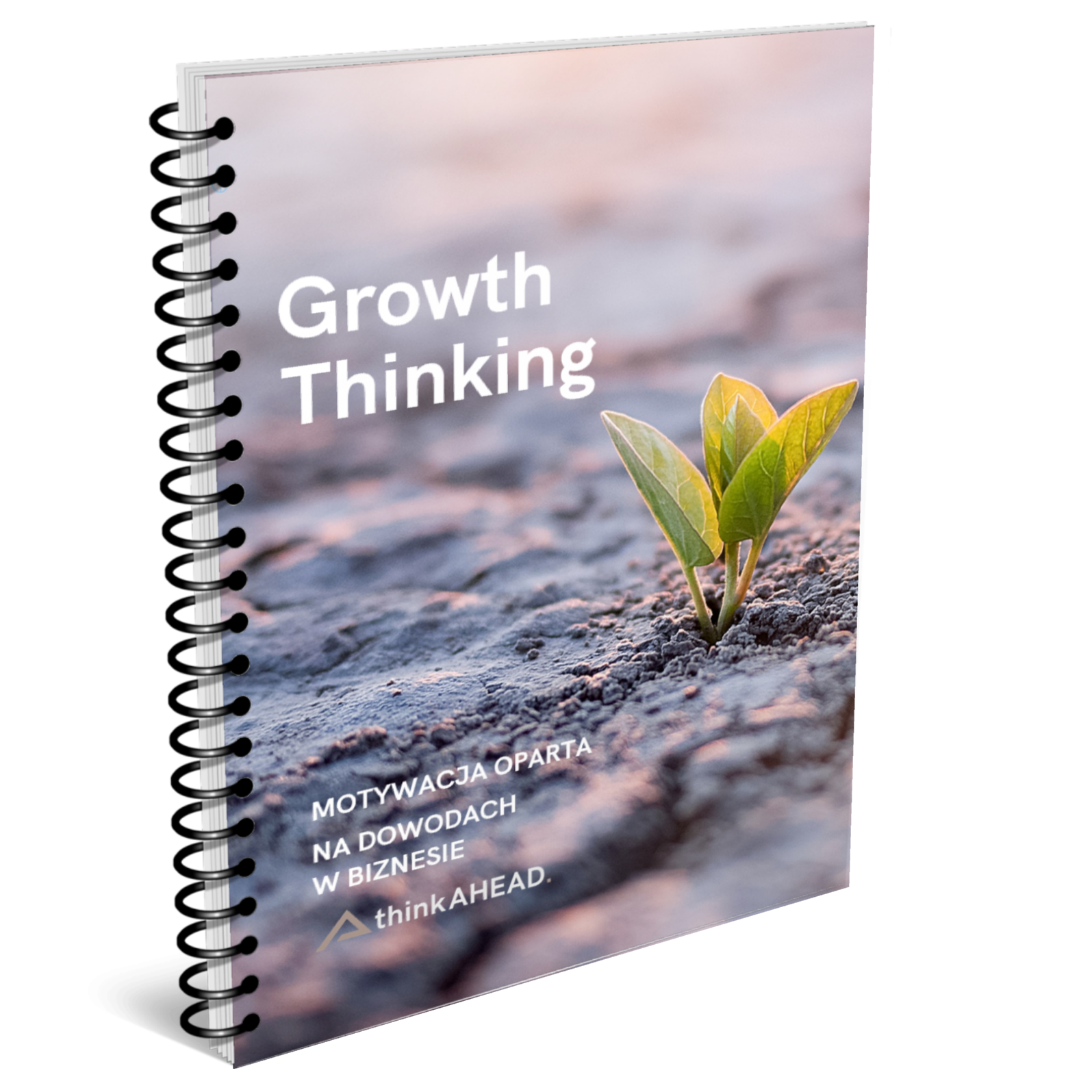 Growth thinking